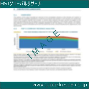 グローバルリサーチ調査レポートのイメージ